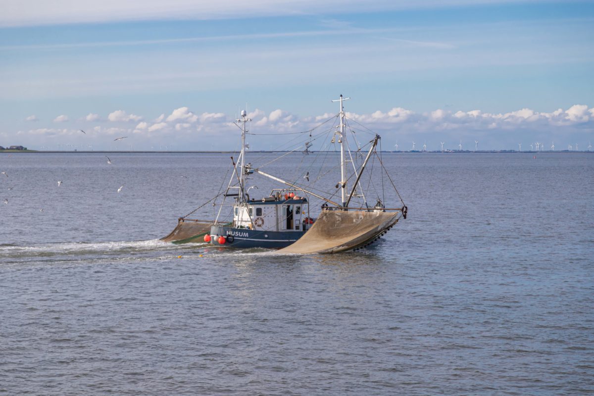 Die Belichtungszeit in der Fotografie