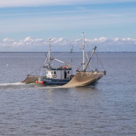 Die Belichtungszeit in der Fotografie